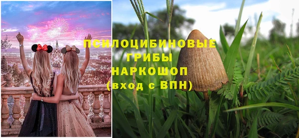 mdpv Волоколамск
