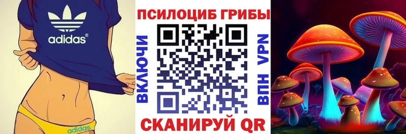 Купить  Буйнакск  Галлюциногенные грибы MAGIC MUSHROOMS 